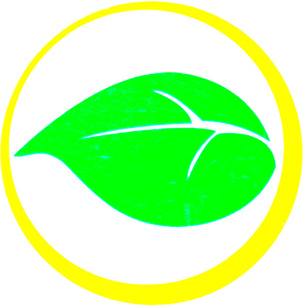 Energia Biomasa