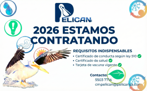 ¡Únete a la familia PELICAN S.A.! – Oportunidades Laborales 2026